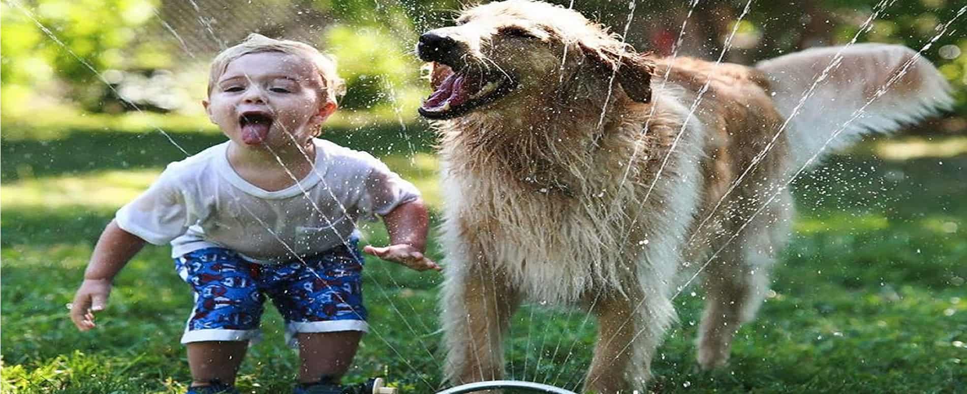 Skyfall Homes Better Living Homes